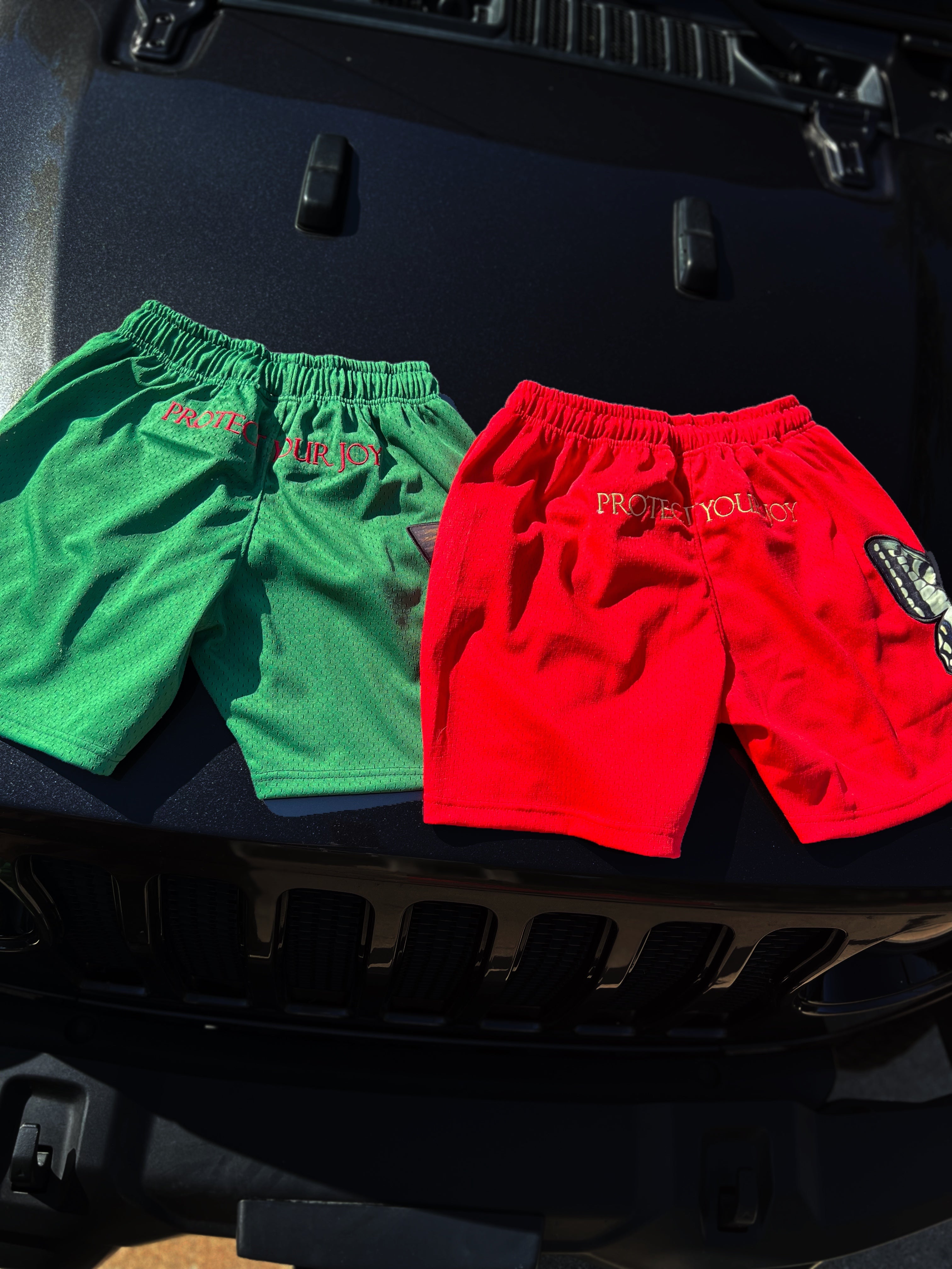 "Transformation" Mesh Shorts - Red